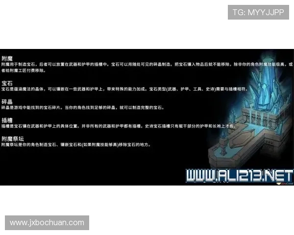 飞盘新手必看：从零基础到高手的全面能力提升指南